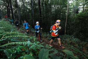 BIB: 
                            <button type="button" onclick="openModal(22465725)" class="btn btn-primary btn-sm float-right btn-popup" data-toggle="modal" data-target=".modal-high-quality">
                        <i class="fas fa-shopping-cart"></i> Add to Cart
                    </button>
                                            <button type="button" onclick="isThisMe(22465725, true)" class="btn btn-success btn-sm float-right btn-popup btn-isme hidden" data-toggle="tooltip" data-placement="bottom" title="นี่คือรูปของคุณใช่ไหม คลิกที่นี่เพื่อเอาเข้าอัลบั้ม">
                        <i class="fas fa-plus"></i> Add to album
                    </button>
                    <button type="button" onclick="isThisMe(22465725, false)" class="btn btn-warning btn-sm float-right btn-popup btn-isnotme hidden">
                        <i class="fas fa-ban"></i> Remove from album
                    </button>