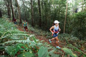 BIB: 
                            <button type="button" onclick="openModal(22485852)" class="btn btn-primary btn-sm float-right btn-popup" data-toggle="modal" data-target=".modal-high-quality">
                        <i class="fas fa-shopping-cart"></i> Add to Cart
                    </button>
                                            <button type="button" onclick="isThisMe(22485852, true)" class="btn btn-success btn-sm float-right btn-popup btn-isme hidden" data-toggle="tooltip" data-placement="bottom" title="นี่คือรูปของคุณใช่ไหม คลิกที่นี่เพื่อเอาเข้าอัลบั้ม">
                        <i class="fas fa-plus"></i> Add to album
                    </button>
                    <button type="button" onclick="isThisMe(22485852, false)" class="btn btn-warning btn-sm float-right btn-popup btn-isnotme hidden">
                        <i class="fas fa-ban"></i> Remove from album
                    </button>