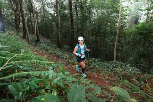 BIB: 
                            <button type="button" onclick="openModal(22479060)" class="btn btn-primary btn-sm float-right btn-popup" data-toggle="modal" data-target=".modal-high-quality">
                        <i class="fas fa-shopping-cart"></i> Add to Cart
                    </button>
                                            <button type="button" onclick="isThisMe(22479060, true)" class="btn btn-success btn-sm float-right btn-popup btn-isme hidden" data-toggle="tooltip" data-placement="bottom" title="นี่คือรูปของคุณใช่ไหม คลิกที่นี่เพื่อเอาเข้าอัลบั้ม">
                        <i class="fas fa-plus"></i> Add to album
                    </button>
                    <button type="button" onclick="isThisMe(22479060, false)" class="btn btn-warning btn-sm float-right btn-popup btn-isnotme hidden">
                        <i class="fas fa-ban"></i> Remove from album
                    </button>