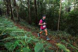 BIB: 300
                            <button type="button" onclick="openModal(22486746)" class="btn btn-primary btn-sm float-right btn-popup" data-toggle="modal" data-target=".modal-high-quality">
                        <i class="fas fa-shopping-cart"></i> Add to Cart
                    </button>
                                            <button type="button" onclick="isThisMe(22486746, true)" class="btn btn-success btn-sm float-right btn-popup btn-isme hidden" data-toggle="tooltip" data-placement="bottom" title="นี่คือรูปของคุณใช่ไหม คลิกที่นี่เพื่อเอาเข้าอัลบั้ม">
                        <i class="fas fa-plus"></i> Add to album
                    </button>
                    <button type="button" onclick="isThisMe(22486746, false)" class="btn btn-warning btn-sm float-right btn-popup btn-isnotme hidden">
                        <i class="fas fa-ban"></i> Remove from album
                    </button>