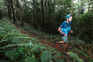 BIB: 
                            <button type="button" onclick="openModal(22483418)" class="btn btn-primary btn-sm float-right btn-popup" data-toggle="modal" data-target=".modal-high-quality">
                        <i class="fas fa-shopping-cart"></i> Add to Cart
                    </button>
                                            <button type="button" onclick="isThisMe(22483418, true)" class="btn btn-success btn-sm float-right btn-popup btn-isme hidden" data-toggle="tooltip" data-placement="bottom" title="นี่คือรูปของคุณใช่ไหม คลิกที่นี่เพื่อเอาเข้าอัลบั้ม">
                        <i class="fas fa-plus"></i> Add to album
                    </button>
                    <button type="button" onclick="isThisMe(22483418, false)" class="btn btn-warning btn-sm float-right btn-popup btn-isnotme hidden">
                        <i class="fas fa-ban"></i> Remove from album
                    </button>