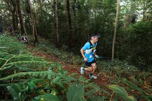 BIB: 
                            <button type="button" onclick="openModal(22464856)" class="btn btn-primary btn-sm float-right btn-popup" data-toggle="modal" data-target=".modal-high-quality">
                        <i class="fas fa-shopping-cart"></i> Add to Cart
                    </button>
                                            <button type="button" onclick="isThisMe(22464856, true)" class="btn btn-success btn-sm float-right btn-popup btn-isme hidden" data-toggle="tooltip" data-placement="bottom" title="นี่คือรูปของคุณใช่ไหม คลิกที่นี่เพื่อเอาเข้าอัลบั้ม">
                        <i class="fas fa-plus"></i> Add to album
                    </button>
                    <button type="button" onclick="isThisMe(22464856, false)" class="btn btn-warning btn-sm float-right btn-popup btn-isnotme hidden">
                        <i class="fas fa-ban"></i> Remove from album
                    </button>