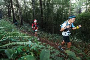 BIB: 
                            <button type="button" onclick="openModal(22477701)" class="btn btn-primary btn-sm float-right btn-popup" data-toggle="modal" data-target=".modal-high-quality">
                        <i class="fas fa-shopping-cart"></i> Add to Cart
                    </button>
                                            <button type="button" onclick="isThisMe(22477701, true)" class="btn btn-success btn-sm float-right btn-popup btn-isme hidden" data-toggle="tooltip" data-placement="bottom" title="นี่คือรูปของคุณใช่ไหม คลิกที่นี่เพื่อเอาเข้าอัลบั้ม">
                        <i class="fas fa-plus"></i> Add to album
                    </button>
                    <button type="button" onclick="isThisMe(22477701, false)" class="btn btn-warning btn-sm float-right btn-popup btn-isnotme hidden">
                        <i class="fas fa-ban"></i> Remove from album
                    </button>