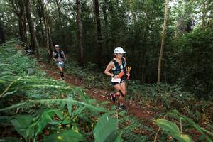 BIB: 
                            <button type="button" onclick="openModal(22487117)" class="btn btn-primary btn-sm float-right btn-popup" data-toggle="modal" data-target=".modal-high-quality">
                        <i class="fas fa-shopping-cart"></i> Add to Cart
                    </button>
                                            <button type="button" onclick="isThisMe(22487117, true)" class="btn btn-success btn-sm float-right btn-popup btn-isme hidden" data-toggle="tooltip" data-placement="bottom" title="นี่คือรูปของคุณใช่ไหม คลิกที่นี่เพื่อเอาเข้าอัลบั้ม">
                        <i class="fas fa-plus"></i> Add to album
                    </button>
                    <button type="button" onclick="isThisMe(22487117, false)" class="btn btn-warning btn-sm float-right btn-popup btn-isnotme hidden">
                        <i class="fas fa-ban"></i> Remove from album
                    </button>