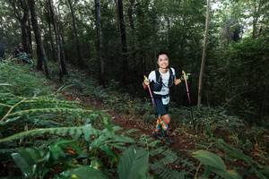 BIB: 
                            <button type="button" onclick="openModal(22465511)" class="btn btn-primary btn-sm float-right btn-popup" data-toggle="modal" data-target=".modal-high-quality">
                        <i class="fas fa-shopping-cart"></i> Add to Cart
                    </button>
                                            <button type="button" onclick="isThisMe(22465511, true)" class="btn btn-success btn-sm float-right btn-popup btn-isme hidden" data-toggle="tooltip" data-placement="bottom" title="นี่คือรูปของคุณใช่ไหม คลิกที่นี่เพื่อเอาเข้าอัลบั้ม">
                        <i class="fas fa-plus"></i> Add to album
                    </button>
                    <button type="button" onclick="isThisMe(22465511, false)" class="btn btn-warning btn-sm float-right btn-popup btn-isnotme hidden">
                        <i class="fas fa-ban"></i> Remove from album
                    </button>