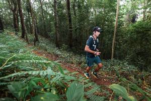 BIB: 
                            <button type="button" onclick="openModal(22480776)" class="btn btn-primary btn-sm float-right btn-popup" data-toggle="modal" data-target=".modal-high-quality">
                        <i class="fas fa-shopping-cart"></i> Add to Cart
                    </button>
                                            <button type="button" onclick="isThisMe(22480776, true)" class="btn btn-success btn-sm float-right btn-popup btn-isme hidden" data-toggle="tooltip" data-placement="bottom" title="นี่คือรูปของคุณใช่ไหม คลิกที่นี่เพื่อเอาเข้าอัลบั้ม">
                        <i class="fas fa-plus"></i> Add to album
                    </button>
                    <button type="button" onclick="isThisMe(22480776, false)" class="btn btn-warning btn-sm float-right btn-popup btn-isnotme hidden">
                        <i class="fas fa-ban"></i> Remove from album
                    </button>