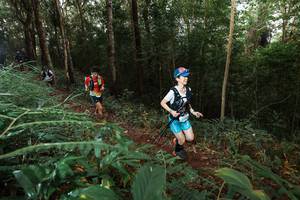 BIB: 
                            <button type="button" onclick="openModal(22464351)" class="btn btn-primary btn-sm float-right btn-popup" data-toggle="modal" data-target=".modal-high-quality">
                        <i class="fas fa-shopping-cart"></i> Add to Cart
                    </button>
                                            <button type="button" onclick="isThisMe(22464351, true)" class="btn btn-success btn-sm float-right btn-popup btn-isme hidden" data-toggle="tooltip" data-placement="bottom" title="นี่คือรูปของคุณใช่ไหม คลิกที่นี่เพื่อเอาเข้าอัลบั้ม">
                        <i class="fas fa-plus"></i> Add to album
                    </button>
                    <button type="button" onclick="isThisMe(22464351, false)" class="btn btn-warning btn-sm float-right btn-popup btn-isnotme hidden">
                        <i class="fas fa-ban"></i> Remove from album
                    </button>