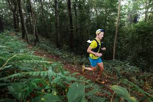 BIB: 
                            <button type="button" onclick="openModal(22483342)" class="btn btn-primary btn-sm float-right btn-popup" data-toggle="modal" data-target=".modal-high-quality">
                        <i class="fas fa-shopping-cart"></i> Add to Cart
                    </button>
                                            <button type="button" onclick="isThisMe(22483342, true)" class="btn btn-success btn-sm float-right btn-popup btn-isme hidden" data-toggle="tooltip" data-placement="bottom" title="นี่คือรูปของคุณใช่ไหม คลิกที่นี่เพื่อเอาเข้าอัลบั้ม">
                        <i class="fas fa-plus"></i> Add to album
                    </button>
                    <button type="button" onclick="isThisMe(22483342, false)" class="btn btn-warning btn-sm float-right btn-popup btn-isnotme hidden">
                        <i class="fas fa-ban"></i> Remove from album
                    </button>