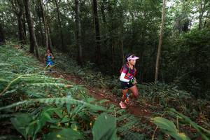 BIB: 
                            <button type="button" onclick="openModal(22480416)" class="btn btn-primary btn-sm float-right btn-popup" data-toggle="modal" data-target=".modal-high-quality">
                        <i class="fas fa-shopping-cart"></i> Add to Cart
                    </button>
                                            <button type="button" onclick="isThisMe(22480416, true)" class="btn btn-success btn-sm float-right btn-popup btn-isme hidden" data-toggle="tooltip" data-placement="bottom" title="นี่คือรูปของคุณใช่ไหม คลิกที่นี่เพื่อเอาเข้าอัลบั้ม">
                        <i class="fas fa-plus"></i> Add to album
                    </button>
                    <button type="button" onclick="isThisMe(22480416, false)" class="btn btn-warning btn-sm float-right btn-popup btn-isnotme hidden">
                        <i class="fas fa-ban"></i> Remove from album
                    </button>