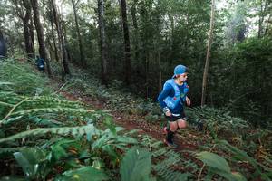 BIB: 
                            <button type="button" onclick="openModal(22478019)" class="btn btn-primary btn-sm float-right btn-popup" data-toggle="modal" data-target=".modal-high-quality">
                        <i class="fas fa-shopping-cart"></i> Add to Cart
                    </button>
                                            <button type="button" onclick="isThisMe(22478019, true)" class="btn btn-success btn-sm float-right btn-popup btn-isme hidden" data-toggle="tooltip" data-placement="bottom" title="นี่คือรูปของคุณใช่ไหม คลิกที่นี่เพื่อเอาเข้าอัลบั้ม">
                        <i class="fas fa-plus"></i> Add to album
                    </button>
                    <button type="button" onclick="isThisMe(22478019, false)" class="btn btn-warning btn-sm float-right btn-popup btn-isnotme hidden">
                        <i class="fas fa-ban"></i> Remove from album
                    </button>