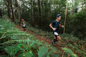 BIB: 5061, 
                            <button type="button" onclick="openModal(22486269)" class="btn btn-primary btn-sm float-right btn-popup" data-toggle="modal" data-target=".modal-high-quality">
                        <i class="fas fa-shopping-cart"></i> Add to Cart
                    </button>
                                            <button type="button" onclick="isThisMe(22486269, true)" class="btn btn-success btn-sm float-right btn-popup btn-isme hidden" data-toggle="tooltip" data-placement="bottom" title="นี่คือรูปของคุณใช่ไหม คลิกที่นี่เพื่อเอาเข้าอัลบั้ม">
                        <i class="fas fa-plus"></i> Add to album
                    </button>
                    <button type="button" onclick="isThisMe(22486269, false)" class="btn btn-warning btn-sm float-right btn-popup btn-isnotme hidden">
                        <i class="fas fa-ban"></i> Remove from album
                    </button>