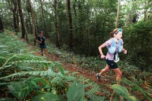 BIB: 
                            <button type="button" onclick="openModal(22480757)" class="btn btn-primary btn-sm float-right btn-popup" data-toggle="modal" data-target=".modal-high-quality">
                        <i class="fas fa-shopping-cart"></i> Add to Cart
                    </button>
                                            <button type="button" onclick="isThisMe(22480757, true)" class="btn btn-success btn-sm float-right btn-popup btn-isme hidden" data-toggle="tooltip" data-placement="bottom" title="นี่คือรูปของคุณใช่ไหม คลิกที่นี่เพื่อเอาเข้าอัลบั้ม">
                        <i class="fas fa-plus"></i> Add to album
                    </button>
                    <button type="button" onclick="isThisMe(22480757, false)" class="btn btn-warning btn-sm float-right btn-popup btn-isnotme hidden">
                        <i class="fas fa-ban"></i> Remove from album
                    </button>