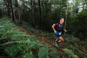 BIB: 
                            <button type="button" onclick="openModal(22483267)" class="btn btn-primary btn-sm float-right btn-popup" data-toggle="modal" data-target=".modal-high-quality">
                        <i class="fas fa-shopping-cart"></i> Add to Cart
                    </button>
                                            <button type="button" onclick="isThisMe(22483267, true)" class="btn btn-success btn-sm float-right btn-popup btn-isme hidden" data-toggle="tooltip" data-placement="bottom" title="นี่คือรูปของคุณใช่ไหม คลิกที่นี่เพื่อเอาเข้าอัลบั้ม">
                        <i class="fas fa-plus"></i> Add to album
                    </button>
                    <button type="button" onclick="isThisMe(22483267, false)" class="btn btn-warning btn-sm float-right btn-popup btn-isnotme hidden">
                        <i class="fas fa-ban"></i> Remove from album
                    </button>