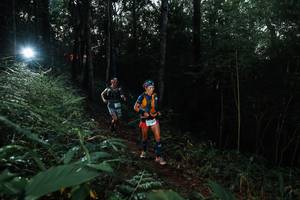 BIB: 
                            <button type="button" onclick="openModal(22448281)" class="btn btn-primary btn-sm float-right btn-popup" data-toggle="modal" data-target=".modal-high-quality">
                        <i class="fas fa-shopping-cart"></i> Add to Cart
                    </button>
                                            <button type="button" onclick="isThisMe(22448281, true)" class="btn btn-success btn-sm float-right btn-popup btn-isme hidden" data-toggle="tooltip" data-placement="bottom" title="นี่คือรูปของคุณใช่ไหม คลิกที่นี่เพื่อเอาเข้าอัลบั้ม">
                        <i class="fas fa-plus"></i> Add to album
                    </button>
                    <button type="button" onclick="isThisMe(22448281, false)" class="btn btn-warning btn-sm float-right btn-popup btn-isnotme hidden">
                        <i class="fas fa-ban"></i> Remove from album
                    </button>