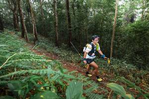 BIB: 
                            <button type="button" onclick="openModal(22479387)" class="btn btn-primary btn-sm float-right btn-popup" data-toggle="modal" data-target=".modal-high-quality">
                        <i class="fas fa-shopping-cart"></i> Add to Cart
                    </button>
                                            <button type="button" onclick="isThisMe(22479387, true)" class="btn btn-success btn-sm float-right btn-popup btn-isme hidden" data-toggle="tooltip" data-placement="bottom" title="นี่คือรูปของคุณใช่ไหม คลิกที่นี่เพื่อเอาเข้าอัลบั้ม">
                        <i class="fas fa-plus"></i> Add to album
                    </button>
                    <button type="button" onclick="isThisMe(22479387, false)" class="btn btn-warning btn-sm float-right btn-popup btn-isnotme hidden">
                        <i class="fas fa-ban"></i> Remove from album
                    </button>