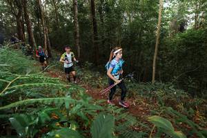 BIB: 
                            <button type="button" onclick="openModal(22464690)" class="btn btn-primary btn-sm float-right btn-popup" data-toggle="modal" data-target=".modal-high-quality">
                        <i class="fas fa-shopping-cart"></i> Add to Cart
                    </button>
                                            <button type="button" onclick="isThisMe(22464690, true)" class="btn btn-success btn-sm float-right btn-popup btn-isme hidden" data-toggle="tooltip" data-placement="bottom" title="นี่คือรูปของคุณใช่ไหม คลิกที่นี่เพื่อเอาเข้าอัลบั้ม">
                        <i class="fas fa-plus"></i> Add to album
                    </button>
                    <button type="button" onclick="isThisMe(22464690, false)" class="btn btn-warning btn-sm float-right btn-popup btn-isnotme hidden">
                        <i class="fas fa-ban"></i> Remove from album
                    </button>