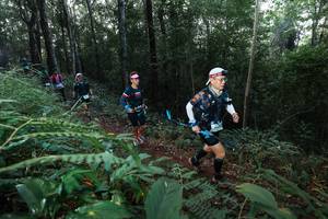 BIB: 
                            <button type="button" onclick="openModal(22476359)" class="btn btn-primary btn-sm float-right btn-popup" data-toggle="modal" data-target=".modal-high-quality">
                        <i class="fas fa-shopping-cart"></i> Add to Cart
                    </button>
                                            <button type="button" onclick="isThisMe(22476359, true)" class="btn btn-success btn-sm float-right btn-popup btn-isme hidden" data-toggle="tooltip" data-placement="bottom" title="นี่คือรูปของคุณใช่ไหม คลิกที่นี่เพื่อเอาเข้าอัลบั้ม">
                        <i class="fas fa-plus"></i> Add to album
                    </button>
                    <button type="button" onclick="isThisMe(22476359, false)" class="btn btn-warning btn-sm float-right btn-popup btn-isnotme hidden">
                        <i class="fas fa-ban"></i> Remove from album
                    </button>