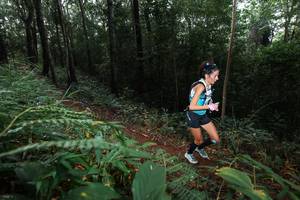 BIB: 
                            <button type="button" onclick="openModal(22480260)" class="btn btn-primary btn-sm float-right btn-popup" data-toggle="modal" data-target=".modal-high-quality">
                        <i class="fas fa-shopping-cart"></i> Add to Cart
                    </button>
                                            <button type="button" onclick="isThisMe(22480260, true)" class="btn btn-success btn-sm float-right btn-popup btn-isme hidden" data-toggle="tooltip" data-placement="bottom" title="นี่คือรูปของคุณใช่ไหม คลิกที่นี่เพื่อเอาเข้าอัลบั้ม">
                        <i class="fas fa-plus"></i> Add to album
                    </button>
                    <button type="button" onclick="isThisMe(22480260, false)" class="btn btn-warning btn-sm float-right btn-popup btn-isnotme hidden">
                        <i class="fas fa-ban"></i> Remove from album
                    </button>