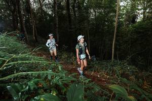 BIB: 
                            <button type="button" onclick="openModal(22463442)" class="btn btn-primary btn-sm float-right btn-popup" data-toggle="modal" data-target=".modal-high-quality">
                        <i class="fas fa-shopping-cart"></i> Add to Cart
                    </button>
                                            <button type="button" onclick="isThisMe(22463442, true)" class="btn btn-success btn-sm float-right btn-popup btn-isme hidden" data-toggle="tooltip" data-placement="bottom" title="นี่คือรูปของคุณใช่ไหม คลิกที่นี่เพื่อเอาเข้าอัลบั้ม">
                        <i class="fas fa-plus"></i> Add to album
                    </button>
                    <button type="button" onclick="isThisMe(22463442, false)" class="btn btn-warning btn-sm float-right btn-popup btn-isnotme hidden">
                        <i class="fas fa-ban"></i> Remove from album
                    </button>