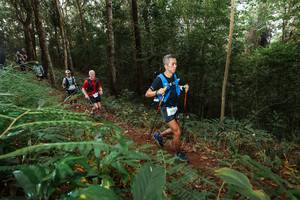 BIB: 
                            <button type="button" onclick="openModal(22464759)" class="btn btn-primary btn-sm float-right btn-popup" data-toggle="modal" data-target=".modal-high-quality">
                        <i class="fas fa-shopping-cart"></i> Add to Cart
                    </button>
                                            <button type="button" onclick="isThisMe(22464759, true)" class="btn btn-success btn-sm float-right btn-popup btn-isme hidden" data-toggle="tooltip" data-placement="bottom" title="นี่คือรูปของคุณใช่ไหม คลิกที่นี่เพื่อเอาเข้าอัลบั้ม">
                        <i class="fas fa-plus"></i> Add to album
                    </button>
                    <button type="button" onclick="isThisMe(22464759, false)" class="btn btn-warning btn-sm float-right btn-popup btn-isnotme hidden">
                        <i class="fas fa-ban"></i> Remove from album
                    </button>