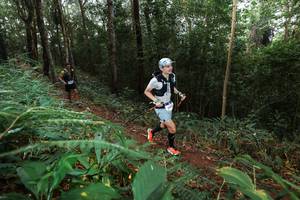 BIB: 
                            <button type="button" onclick="openModal(22487129)" class="btn btn-primary btn-sm float-right btn-popup" data-toggle="modal" data-target=".modal-high-quality">
                        <i class="fas fa-shopping-cart"></i> Add to Cart
                    </button>
                                            <button type="button" onclick="isThisMe(22487129, true)" class="btn btn-success btn-sm float-right btn-popup btn-isme hidden" data-toggle="tooltip" data-placement="bottom" title="นี่คือรูปของคุณใช่ไหม คลิกที่นี่เพื่อเอาเข้าอัลบั้ม">
                        <i class="fas fa-plus"></i> Add to album
                    </button>
                    <button type="button" onclick="isThisMe(22487129, false)" class="btn btn-warning btn-sm float-right btn-popup btn-isnotme hidden">
                        <i class="fas fa-ban"></i> Remove from album
                    </button>