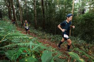 BIB: 5061
                            <button type="button" onclick="openModal(22486292)" class="btn btn-primary btn-sm float-right btn-popup" data-toggle="modal" data-target=".modal-high-quality">
                        <i class="fas fa-shopping-cart"></i> Add to Cart
                    </button>
                                            <button type="button" onclick="isThisMe(22486292, true)" class="btn btn-success btn-sm float-right btn-popup btn-isme hidden" data-toggle="tooltip" data-placement="bottom" title="นี่คือรูปของคุณใช่ไหม คลิกที่นี่เพื่อเอาเข้าอัลบั้ม">
                        <i class="fas fa-plus"></i> Add to album
                    </button>
                    <button type="button" onclick="isThisMe(22486292, false)" class="btn btn-warning btn-sm float-right btn-popup btn-isnotme hidden">
                        <i class="fas fa-ban"></i> Remove from album
                    </button>