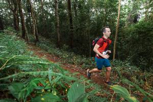 BIB: 
                            <button type="button" onclick="openModal(22486515)" class="btn btn-primary btn-sm float-right btn-popup" data-toggle="modal" data-target=".modal-high-quality">
                        <i class="fas fa-shopping-cart"></i> Add to Cart
                    </button>
                                            <button type="button" onclick="isThisMe(22486515, true)" class="btn btn-success btn-sm float-right btn-popup btn-isme hidden" data-toggle="tooltip" data-placement="bottom" title="นี่คือรูปของคุณใช่ไหม คลิกที่นี่เพื่อเอาเข้าอัลบั้ม">
                        <i class="fas fa-plus"></i> Add to album
                    </button>
                    <button type="button" onclick="isThisMe(22486515, false)" class="btn btn-warning btn-sm float-right btn-popup btn-isnotme hidden">
                        <i class="fas fa-ban"></i> Remove from album
                    </button>