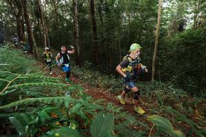 BIB: 
                            <button type="button" onclick="openModal(22464732)" class="btn btn-primary btn-sm float-right btn-popup" data-toggle="modal" data-target=".modal-high-quality">
                        <i class="fas fa-shopping-cart"></i> Add to Cart
                    </button>
                                            <button type="button" onclick="isThisMe(22464732, true)" class="btn btn-success btn-sm float-right btn-popup btn-isme hidden" data-toggle="tooltip" data-placement="bottom" title="นี่คือรูปของคุณใช่ไหม คลิกที่นี่เพื่อเอาเข้าอัลบั้ม">
                        <i class="fas fa-plus"></i> Add to album
                    </button>
                    <button type="button" onclick="isThisMe(22464732, false)" class="btn btn-warning btn-sm float-right btn-popup btn-isnotme hidden">
                        <i class="fas fa-ban"></i> Remove from album
                    </button>