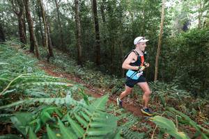 BIB: 
                            <button type="button" onclick="openModal(22485385)" class="btn btn-primary btn-sm float-right btn-popup" data-toggle="modal" data-target=".modal-high-quality">
                        <i class="fas fa-shopping-cart"></i> Add to Cart
                    </button>
                                            <button type="button" onclick="isThisMe(22485385, true)" class="btn btn-success btn-sm float-right btn-popup btn-isme hidden" data-toggle="tooltip" data-placement="bottom" title="นี่คือรูปของคุณใช่ไหม คลิกที่นี่เพื่อเอาเข้าอัลบั้ม">
                        <i class="fas fa-plus"></i> Add to album
                    </button>
                    <button type="button" onclick="isThisMe(22485385, false)" class="btn btn-warning btn-sm float-right btn-popup btn-isnotme hidden">
                        <i class="fas fa-ban"></i> Remove from album
                    </button>