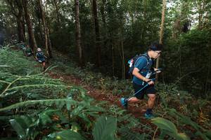 BIB: 
                            <button type="button" onclick="openModal(22464217)" class="btn btn-primary btn-sm float-right btn-popup" data-toggle="modal" data-target=".modal-high-quality">
                        <i class="fas fa-shopping-cart"></i> Add to Cart
                    </button>
                                            <button type="button" onclick="isThisMe(22464217, true)" class="btn btn-success btn-sm float-right btn-popup btn-isme hidden" data-toggle="tooltip" data-placement="bottom" title="นี่คือรูปของคุณใช่ไหม คลิกที่นี่เพื่อเอาเข้าอัลบั้ม">
                        <i class="fas fa-plus"></i> Add to album
                    </button>
                    <button type="button" onclick="isThisMe(22464217, false)" class="btn btn-warning btn-sm float-right btn-popup btn-isnotme hidden">
                        <i class="fas fa-ban"></i> Remove from album
                    </button>