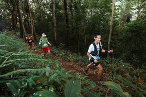 BIB: 
                            <button type="button" onclick="openModal(22464594)" class="btn btn-primary btn-sm float-right btn-popup" data-toggle="modal" data-target=".modal-high-quality">
                        <i class="fas fa-shopping-cart"></i> Add to Cart
                    </button>
                                            <button type="button" onclick="isThisMe(22464594, true)" class="btn btn-success btn-sm float-right btn-popup btn-isme hidden" data-toggle="tooltip" data-placement="bottom" title="นี่คือรูปของคุณใช่ไหม คลิกที่นี่เพื่อเอาเข้าอัลบั้ม">
                        <i class="fas fa-plus"></i> Add to album
                    </button>
                    <button type="button" onclick="isThisMe(22464594, false)" class="btn btn-warning btn-sm float-right btn-popup btn-isnotme hidden">
                        <i class="fas fa-ban"></i> Remove from album
                    </button>