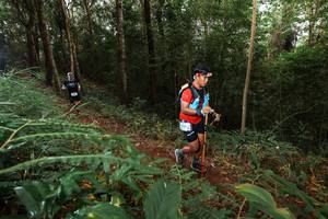 BIB: 2441
                            <button type="button" onclick="openModal(22464035)" class="btn btn-primary btn-sm float-right btn-popup" data-toggle="modal" data-target=".modal-high-quality">
                        <i class="fas fa-shopping-cart"></i> Add to Cart
                    </button>
                                            <button type="button" onclick="isThisMe(22464035, true)" class="btn btn-success btn-sm float-right btn-popup btn-isme hidden" data-toggle="tooltip" data-placement="bottom" title="นี่คือรูปของคุณใช่ไหม คลิกที่นี่เพื่อเอาเข้าอัลบั้ม">
                        <i class="fas fa-plus"></i> Add to album
                    </button>
                    <button type="button" onclick="isThisMe(22464035, false)" class="btn btn-warning btn-sm float-right btn-popup btn-isnotme hidden">
                        <i class="fas fa-ban"></i> Remove from album
                    </button>