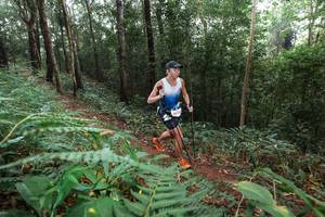 BIB: 2013, 
                            <button type="button" onclick="openModal(22485091)" class="btn btn-primary btn-sm float-right btn-popup" data-toggle="modal" data-target=".modal-high-quality">
                        <i class="fas fa-shopping-cart"></i> Add to Cart
                    </button>
                                            <button type="button" onclick="isThisMe(22485091, true)" class="btn btn-success btn-sm float-right btn-popup btn-isme hidden" data-toggle="tooltip" data-placement="bottom" title="นี่คือรูปของคุณใช่ไหม คลิกที่นี่เพื่อเอาเข้าอัลบั้ม">
                        <i class="fas fa-plus"></i> Add to album
                    </button>
                    <button type="button" onclick="isThisMe(22485091, false)" class="btn btn-warning btn-sm float-right btn-popup btn-isnotme hidden">
                        <i class="fas fa-ban"></i> Remove from album
                    </button>