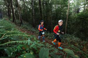 BIB: 
                            <button type="button" onclick="openModal(22478759)" class="btn btn-primary btn-sm float-right btn-popup" data-toggle="modal" data-target=".modal-high-quality">
                        <i class="fas fa-shopping-cart"></i> Add to Cart
                    </button>
                                            <button type="button" onclick="isThisMe(22478759, true)" class="btn btn-success btn-sm float-right btn-popup btn-isme hidden" data-toggle="tooltip" data-placement="bottom" title="นี่คือรูปของคุณใช่ไหม คลิกที่นี่เพื่อเอาเข้าอัลบั้ม">
                        <i class="fas fa-plus"></i> Add to album
                    </button>
                    <button type="button" onclick="isThisMe(22478759, false)" class="btn btn-warning btn-sm float-right btn-popup btn-isnotme hidden">
                        <i class="fas fa-ban"></i> Remove from album
                    </button>