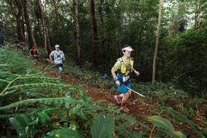 BIB: 
                            <button type="button" onclick="openModal(22464815)" class="btn btn-primary btn-sm float-right btn-popup" data-toggle="modal" data-target=".modal-high-quality">
                        <i class="fas fa-shopping-cart"></i> Add to Cart
                    </button>
                                            <button type="button" onclick="isThisMe(22464815, true)" class="btn btn-success btn-sm float-right btn-popup btn-isme hidden" data-toggle="tooltip" data-placement="bottom" title="นี่คือรูปของคุณใช่ไหม คลิกที่นี่เพื่อเอาเข้าอัลบั้ม">
                        <i class="fas fa-plus"></i> Add to album
                    </button>
                    <button type="button" onclick="isThisMe(22464815, false)" class="btn btn-warning btn-sm float-right btn-popup btn-isnotme hidden">
                        <i class="fas fa-ban"></i> Remove from album
                    </button>