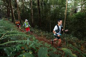 BIB: 
                            <button type="button" onclick="openModal(22464599)" class="btn btn-primary btn-sm float-right btn-popup" data-toggle="modal" data-target=".modal-high-quality">
                        <i class="fas fa-shopping-cart"></i> Add to Cart
                    </button>
                                            <button type="button" onclick="isThisMe(22464599, true)" class="btn btn-success btn-sm float-right btn-popup btn-isme hidden" data-toggle="tooltip" data-placement="bottom" title="นี่คือรูปของคุณใช่ไหม คลิกที่นี่เพื่อเอาเข้าอัลบั้ม">
                        <i class="fas fa-plus"></i> Add to album
                    </button>
                    <button type="button" onclick="isThisMe(22464599, false)" class="btn btn-warning btn-sm float-right btn-popup btn-isnotme hidden">
                        <i class="fas fa-ban"></i> Remove from album
                    </button>