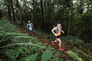 BIB: 
                            <button type="button" onclick="openModal(22536372)" class="btn btn-primary btn-sm float-right btn-popup" data-toggle="modal" data-target=".modal-high-quality">
                        <i class="fas fa-shopping-cart"></i> Add to Cart
                    </button>
                                            <button type="button" onclick="isThisMe(22536372, true)" class="btn btn-success btn-sm float-right btn-popup btn-isme hidden" data-toggle="tooltip" data-placement="bottom" title="นี่คือรูปของคุณใช่ไหม คลิกที่นี่เพื่อเอาเข้าอัลบั้ม">
                        <i class="fas fa-plus"></i> Add to album
                    </button>
                    <button type="button" onclick="isThisMe(22536372, false)" class="btn btn-warning btn-sm float-right btn-popup btn-isnotme hidden">
                        <i class="fas fa-ban"></i> Remove from album
                    </button>