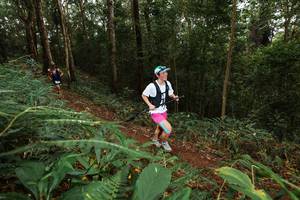 BIB: 
                            <button type="button" onclick="openModal(22533863)" class="btn btn-primary btn-sm float-right btn-popup" data-toggle="modal" data-target=".modal-high-quality">
                        <i class="fas fa-shopping-cart"></i> Add to Cart
                    </button>
                                            <button type="button" onclick="isThisMe(22533863, true)" class="btn btn-success btn-sm float-right btn-popup btn-isme hidden" data-toggle="tooltip" data-placement="bottom" title="นี่คือรูปของคุณใช่ไหม คลิกที่นี่เพื่อเอาเข้าอัลบั้ม">
                        <i class="fas fa-plus"></i> Add to album
                    </button>
                    <button type="button" onclick="isThisMe(22533863, false)" class="btn btn-warning btn-sm float-right btn-popup btn-isnotme hidden">
                        <i class="fas fa-ban"></i> Remove from album
                    </button>