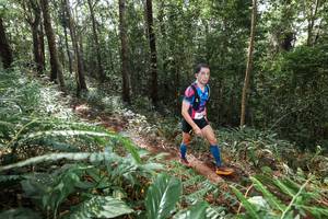 BIB: 
                            <button type="button" onclick="openModal(22562567)" class="btn btn-primary btn-sm float-right btn-popup" data-toggle="modal" data-target=".modal-high-quality">
                        <i class="fas fa-shopping-cart"></i> Add to Cart
                    </button>
                                            <button type="button" onclick="isThisMe(22562567, true)" class="btn btn-success btn-sm float-right btn-popup btn-isme hidden" data-toggle="tooltip" data-placement="bottom" title="นี่คือรูปของคุณใช่ไหม คลิกที่นี่เพื่อเอาเข้าอัลบั้ม">
                        <i class="fas fa-plus"></i> Add to album
                    </button>
                    <button type="button" onclick="isThisMe(22562567, false)" class="btn btn-warning btn-sm float-right btn-popup btn-isnotme hidden">
                        <i class="fas fa-ban"></i> Remove from album
                    </button>