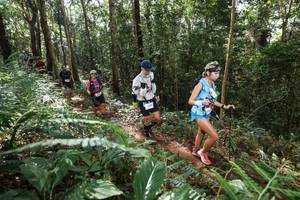 BIB: 
                            <button type="button" onclick="openModal(22547293)" class="btn btn-primary btn-sm float-right btn-popup" data-toggle="modal" data-target=".modal-high-quality">
                        <i class="fas fa-shopping-cart"></i> Add to Cart
                    </button>
                                            <button type="button" onclick="isThisMe(22547293, true)" class="btn btn-success btn-sm float-right btn-popup btn-isme hidden" data-toggle="tooltip" data-placement="bottom" title="นี่คือรูปของคุณใช่ไหม คลิกที่นี่เพื่อเอาเข้าอัลบั้ม">
                        <i class="fas fa-plus"></i> Add to album
                    </button>
                    <button type="button" onclick="isThisMe(22547293, false)" class="btn btn-warning btn-sm float-right btn-popup btn-isnotme hidden">
                        <i class="fas fa-ban"></i> Remove from album
                    </button>