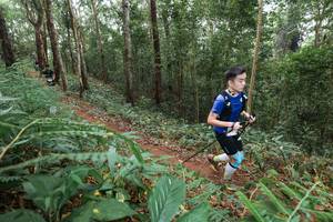 BIB: 
                            <button type="button" onclick="openModal(22579813)" class="btn btn-primary btn-sm float-right btn-popup" data-toggle="modal" data-target=".modal-high-quality">
                        <i class="fas fa-shopping-cart"></i> Add to Cart
                    </button>
                                            <button type="button" onclick="isThisMe(22579813, true)" class="btn btn-success btn-sm float-right btn-popup btn-isme hidden" data-toggle="tooltip" data-placement="bottom" title="นี่คือรูปของคุณใช่ไหม คลิกที่นี่เพื่อเอาเข้าอัลบั้ม">
                        <i class="fas fa-plus"></i> Add to album
                    </button>
                    <button type="button" onclick="isThisMe(22579813, false)" class="btn btn-warning btn-sm float-right btn-popup btn-isnotme hidden">
                        <i class="fas fa-ban"></i> Remove from album
                    </button>