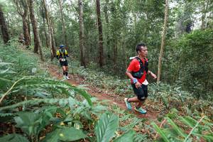 BIB: 
                            <button type="button" onclick="openModal(22574890)" class="btn btn-primary btn-sm float-right btn-popup" data-toggle="modal" data-target=".modal-high-quality">
                        <i class="fas fa-shopping-cart"></i> Add to Cart
                    </button>
                                            <button type="button" onclick="isThisMe(22574890, true)" class="btn btn-success btn-sm float-right btn-popup btn-isme hidden" data-toggle="tooltip" data-placement="bottom" title="นี่คือรูปของคุณใช่ไหม คลิกที่นี่เพื่อเอาเข้าอัลบั้ม">
                        <i class="fas fa-plus"></i> Add to album
                    </button>
                    <button type="button" onclick="isThisMe(22574890, false)" class="btn btn-warning btn-sm float-right btn-popup btn-isnotme hidden">
                        <i class="fas fa-ban"></i> Remove from album
                    </button>