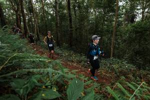 BIB: 
                            <button type="button" onclick="openModal(22582322)" class="btn btn-primary btn-sm float-right btn-popup" data-toggle="modal" data-target=".modal-high-quality">
                        <i class="fas fa-shopping-cart"></i> Add to Cart
                    </button>
                                            <button type="button" onclick="isThisMe(22582322, true)" class="btn btn-success btn-sm float-right btn-popup btn-isme hidden" data-toggle="tooltip" data-placement="bottom" title="นี่คือรูปของคุณใช่ไหม คลิกที่นี่เพื่อเอาเข้าอัลบั้ม">
                        <i class="fas fa-plus"></i> Add to album
                    </button>
                    <button type="button" onclick="isThisMe(22582322, false)" class="btn btn-warning btn-sm float-right btn-popup btn-isnotme hidden">
                        <i class="fas fa-ban"></i> Remove from album
                    </button>