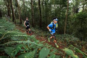 BIB: 
                            <button type="button" onclick="openModal(22534695)" class="btn btn-primary btn-sm float-right btn-popup" data-toggle="modal" data-target=".modal-high-quality">
                        <i class="fas fa-shopping-cart"></i> Add to Cart
                    </button>
                                            <button type="button" onclick="isThisMe(22534695, true)" class="btn btn-success btn-sm float-right btn-popup btn-isme hidden" data-toggle="tooltip" data-placement="bottom" title="นี่คือรูปของคุณใช่ไหม คลิกที่นี่เพื่อเอาเข้าอัลบั้ม">
                        <i class="fas fa-plus"></i> Add to album
                    </button>
                    <button type="button" onclick="isThisMe(22534695, false)" class="btn btn-warning btn-sm float-right btn-popup btn-isnotme hidden">
                        <i class="fas fa-ban"></i> Remove from album
                    </button>