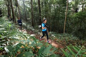 BIB: 
                            <button type="button" onclick="openModal(22545361)" class="btn btn-primary btn-sm float-right btn-popup" data-toggle="modal" data-target=".modal-high-quality">
                        <i class="fas fa-shopping-cart"></i> Add to Cart
                    </button>
                                            <button type="button" onclick="isThisMe(22545361, true)" class="btn btn-success btn-sm float-right btn-popup btn-isme hidden" data-toggle="tooltip" data-placement="bottom" title="นี่คือรูปของคุณใช่ไหม คลิกที่นี่เพื่อเอาเข้าอัลบั้ม">
                        <i class="fas fa-plus"></i> Add to album
                    </button>
                    <button type="button" onclick="isThisMe(22545361, false)" class="btn btn-warning btn-sm float-right btn-popup btn-isnotme hidden">
                        <i class="fas fa-ban"></i> Remove from album
                    </button>