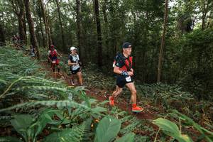 BIB: 
                            <button type="button" onclick="openModal(22537037)" class="btn btn-primary btn-sm float-right btn-popup" data-toggle="modal" data-target=".modal-high-quality">
                        <i class="fas fa-shopping-cart"></i> Add to Cart
                    </button>
                                            <button type="button" onclick="isThisMe(22537037, true)" class="btn btn-success btn-sm float-right btn-popup btn-isme hidden" data-toggle="tooltip" data-placement="bottom" title="นี่คือรูปของคุณใช่ไหม คลิกที่นี่เพื่อเอาเข้าอัลบั้ม">
                        <i class="fas fa-plus"></i> Add to album
                    </button>
                    <button type="button" onclick="isThisMe(22537037, false)" class="btn btn-warning btn-sm float-right btn-popup btn-isnotme hidden">
                        <i class="fas fa-ban"></i> Remove from album
                    </button>