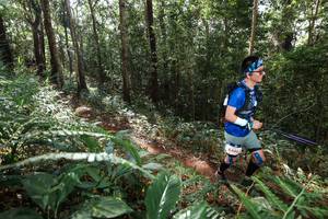 BIB: 6486
                            <button type="button" onclick="openModal(22547239)" class="btn btn-primary btn-sm float-right btn-popup" data-toggle="modal" data-target=".modal-high-quality">
                        <i class="fas fa-shopping-cart"></i> Add to Cart
                    </button>
                                            <button type="button" onclick="isThisMe(22547239, true)" class="btn btn-success btn-sm float-right btn-popup btn-isme hidden" data-toggle="tooltip" data-placement="bottom" title="นี่คือรูปของคุณใช่ไหม คลิกที่นี่เพื่อเอาเข้าอัลบั้ม">
                        <i class="fas fa-plus"></i> Add to album
                    </button>
                    <button type="button" onclick="isThisMe(22547239, false)" class="btn btn-warning btn-sm float-right btn-popup btn-isnotme hidden">
                        <i class="fas fa-ban"></i> Remove from album
                    </button>