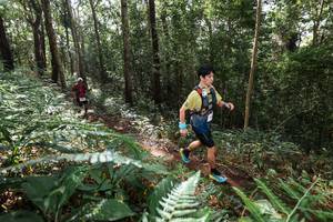 BIB: 
                            <button type="button" onclick="openModal(22546953)" class="btn btn-primary btn-sm float-right btn-popup" data-toggle="modal" data-target=".modal-high-quality">
                        <i class="fas fa-shopping-cart"></i> Add to Cart
                    </button>
                                            <button type="button" onclick="isThisMe(22546953, true)" class="btn btn-success btn-sm float-right btn-popup btn-isme hidden" data-toggle="tooltip" data-placement="bottom" title="นี่คือรูปของคุณใช่ไหม คลิกที่นี่เพื่อเอาเข้าอัลบั้ม">
                        <i class="fas fa-plus"></i> Add to album
                    </button>
                    <button type="button" onclick="isThisMe(22546953, false)" class="btn btn-warning btn-sm float-right btn-popup btn-isnotme hidden">
                        <i class="fas fa-ban"></i> Remove from album
                    </button>