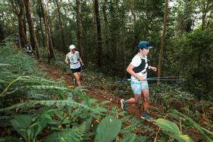 BIB: 
                            <button type="button" onclick="openModal(22534745)" class="btn btn-primary btn-sm float-right btn-popup" data-toggle="modal" data-target=".modal-high-quality">
                        <i class="fas fa-shopping-cart"></i> Add to Cart
                    </button>
                                            <button type="button" onclick="isThisMe(22534745, true)" class="btn btn-success btn-sm float-right btn-popup btn-isme hidden" data-toggle="tooltip" data-placement="bottom" title="นี่คือรูปของคุณใช่ไหม คลิกที่นี่เพื่อเอาเข้าอัลบั้ม">
                        <i class="fas fa-plus"></i> Add to album
                    </button>
                    <button type="button" onclick="isThisMe(22534745, false)" class="btn btn-warning btn-sm float-right btn-popup btn-isnotme hidden">
                        <i class="fas fa-ban"></i> Remove from album
                    </button>