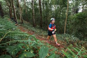 BIB: 
                            <button type="button" onclick="openModal(22573436)" class="btn btn-primary btn-sm float-right btn-popup" data-toggle="modal" data-target=".modal-high-quality">
                        <i class="fas fa-shopping-cart"></i> Add to Cart
                    </button>
                                            <button type="button" onclick="isThisMe(22573436, true)" class="btn btn-success btn-sm float-right btn-popup btn-isme hidden" data-toggle="tooltip" data-placement="bottom" title="นี่คือรูปของคุณใช่ไหม คลิกที่นี่เพื่อเอาเข้าอัลบั้ม">
                        <i class="fas fa-plus"></i> Add to album
                    </button>
                    <button type="button" onclick="isThisMe(22573436, false)" class="btn btn-warning btn-sm float-right btn-popup btn-isnotme hidden">
                        <i class="fas fa-ban"></i> Remove from album
                    </button>